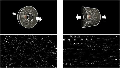 Different Head-Sway Responses to Optic Flow in Sitting and Standing With a Head-Mounted Display